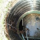 조크리닝 이미지