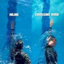 @nvdmcoaching 구독 Spot the difference 👀 #swimming #swimmer 이미지