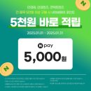 첨단안경 콘택트 이미지