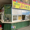 예술아노올자