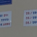 포레스트 오늘,숲 수원영통점
