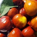 유한농장 이미지