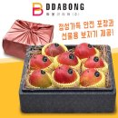 따봉코리아(주) 네이버블로그
