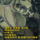 예천군 호명읍 내신리 토지 매매 - 계획관리지역,2차선도로접,773평,1.4억 이미지