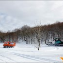 포레스타호텔 이미지