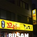 원조꼬리치는돼지 이미지