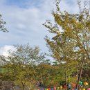 칠성사 | 소사구점잘보는곳 칠성사일월도사