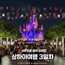 하이디상점 | 4박5일 상하이 3일차✈️ 디즈니랜드 2일권 둘째날 할로윈 퍼레이드 / 픽사전시,캐리비안의해적,곰돌이푸의...