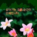 좋은인연 이미지