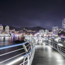 숲속구름호수 스포츠조선