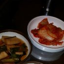 우림두꺼비