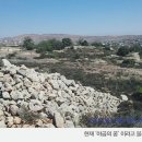 벧엘(Bethel)