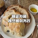 2418 | [내돈내산] 배곧 건강빵 베이커리 맛집 : 레브베이커리 후기
