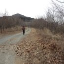 반룡산공원 이미지