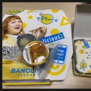 반올림피자안산