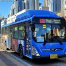 중부운수 이미지