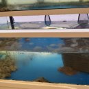 호남해물탕 이미지