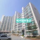 노암인터넷 이미지