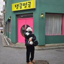 댕글멍글 이미지