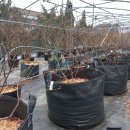 연동2농장 이미지