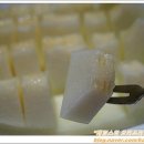 채원농장 이미지