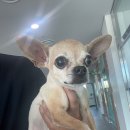 장평5길 이미지