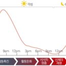 나무 휘트니스 이미지