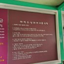 해적수상스키