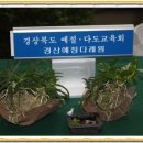 운문유치원 이미지