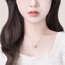 살롱드 아르망디
