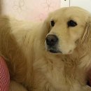 여수농장 이미지