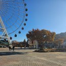 이마트24 광주우치공원정문점 | 광안리 불꽃축제보다 행복했던 광주 우치동물원에는 무료 코끼리 기린 호랑이 사자 코뿔소 100마리 넘는...