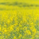 제주 memory 이미지