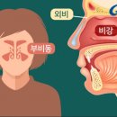 호랑이약국 이미지