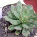 김대중컨벤션센터 이미지