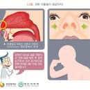 코피가야