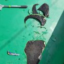 천안 여인숙 이미지