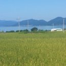 복많은사람들공인중개사사무소 이미지
