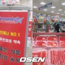 푸르미청과