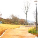 오수의견 국민여가캠핑장 이미지