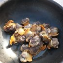 동중농장 이미지