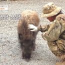 이순이농장 이미지