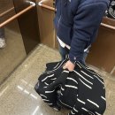 에어보스 신생아 바구니 카시트 &amp; 티가든 블랭킷 내돈내산 구매후기