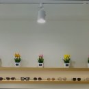 안경상회 안양성결대점 이미지