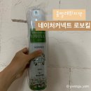 네이처커넥트 이미지
