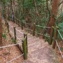 제주 올레길 16코스 이미지