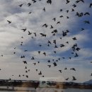 명지미술관 이미지