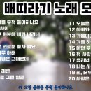 배따라기/노래모음 이미지