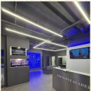 스타일댄스 아카데미 | 안산댄스 탑댄스아카데미 후기: 춤 추면서 즐기는 성장의 시간