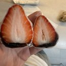 홍춘당구클럽 | 🐝 써 ✌🏻 🌕